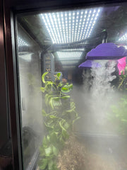 Rain Cloud Humidifier Attachment Plant Accessory Terrarium