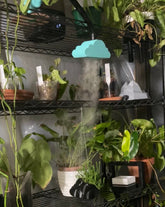 Rain Cloud Humidifier Attachment Plant Accessory Terrarium