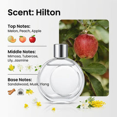 USB Desktop Oil Diffuser & Humidifier, Portable Ultrasonic Aromatherapy Mist Maker, Compact Essential Oil Air Freshener for Home Office Desk