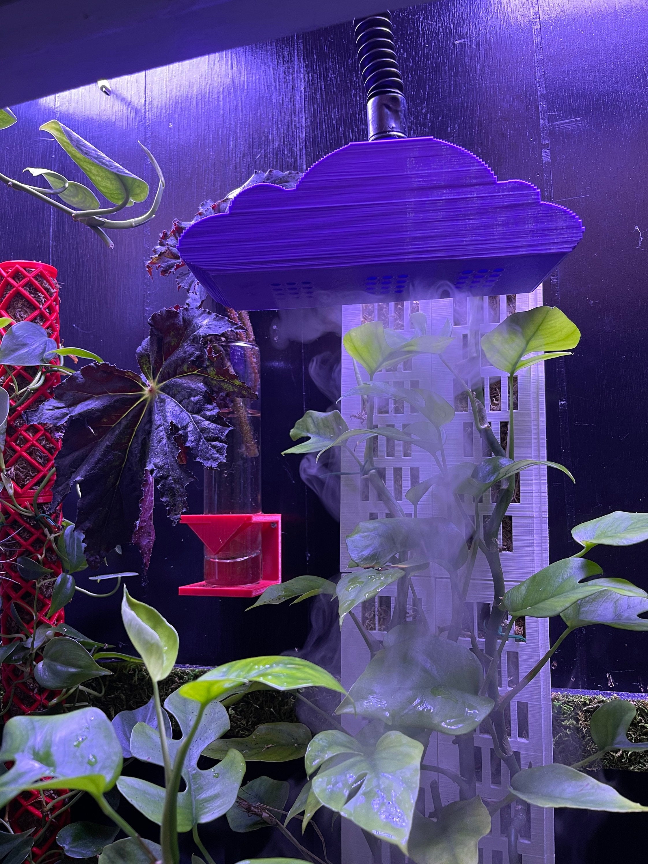 Rain Cloud Humidifier Attachment Plant Accessory Terrarium