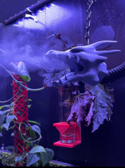Dragon Head Humidifier Attachment