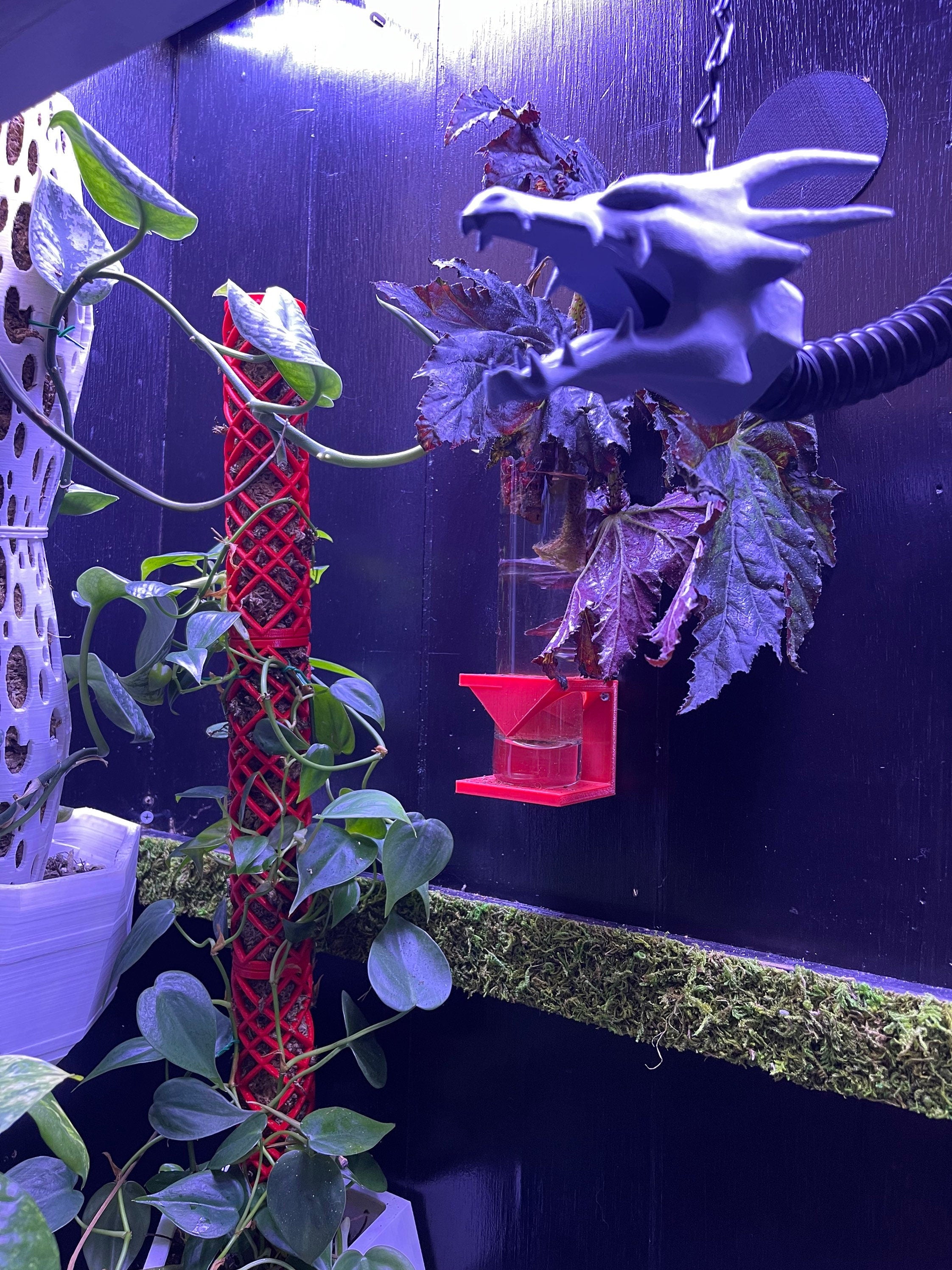 Dragon Head Humidifier Attachment