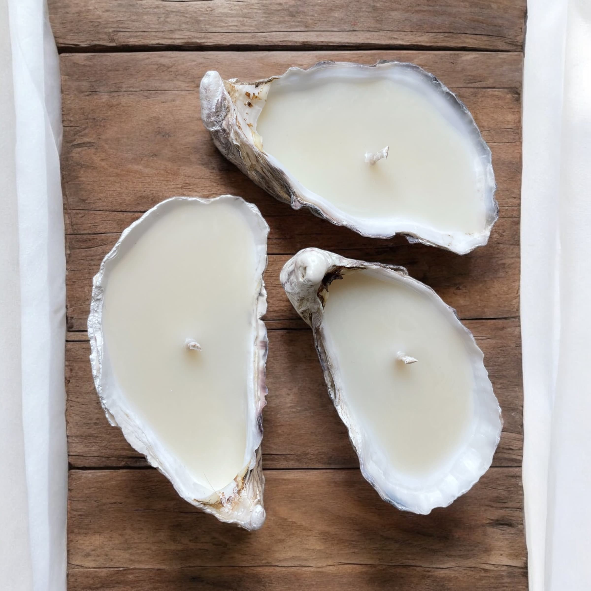 Set of 3/5/10/50 Oyster Shell Candles